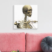 Medische illustratie van de schedel van een vrouw canvas afdruk (Insitu (Woonkamer))
