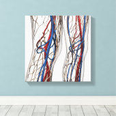 Medische illustratie van de slagaders 1 canvas afdruk (Insitu (Houten vloer))