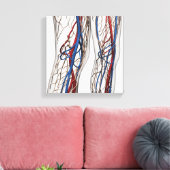 Medische illustratie van de slagaders 1 canvas afdruk (Insitu (Woonkamer))
