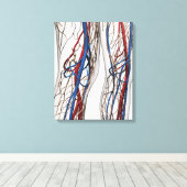Medische illustratie van de slagaders 1 canvas afdruk (Insitu (Houten vloer))