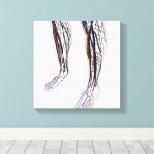 Medische illustratie van de slagaders 3 canvas afdruk (Insitu (Houten vloer))