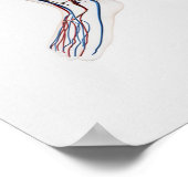 Medische illustratie van de slagaders 3 poster (Hoek)