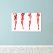 Medische illustratie van de spieren van de menshei canvas afdruk (Insitu (Houten vloer))
