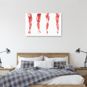 Medische illustratie van de spieren van de menshei canvas afdruk (Insitu (Slaapkamer))