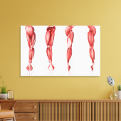 Medische illustratie van de spieren van de menshei canvas afdruk (Insitu (Woonkamer))