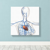 Medische illustratie van het circuitsysteem canvas afdruk (Insitu (Houten vloer))