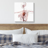 Medische illustratie van het circuitsysteem van he canvas afdruk (Insitu (Slaapkamer))