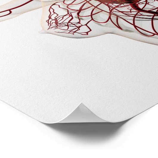 Medische illustratie van het circuitsysteem van he poster (Hoek)