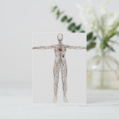 Medische illustratie van het lymfestelsel van het  briefkaart (Staand voorkant)