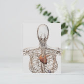 Medische illustratie van het lymfestelsel van het  briefkaart (Staand voorkant)