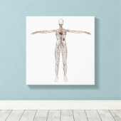 Medische illustratie van het lymfestelsel van het canvas afdruk (Insitu (Houten vloer))