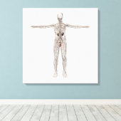 Medische illustratie van het lymfestelsel van mann canvas afdruk (Insitu (Houten vloer))