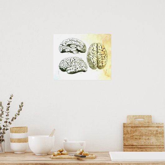 Medische illustratie van het menselijk brein poster (Keuken)