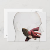 Medische illustratie van het menselijk spijsverter briefkaart (Voorkant / Achterkant)