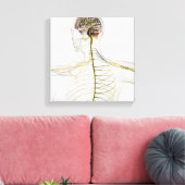 Medische illustratie van het menselijk zenuwstelse canvas afdruk (Insitu (Woonkamer))