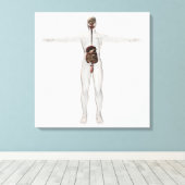 Medische illustratie van het spijsverteringsstelse canvas afdruk (Insitu (Houten vloer))