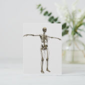 Medische illustratie van het volledige Vrouw skele Briefkaart (Staand voorkant)