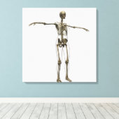 Medische illustratie van het volledige Vrouw skele Canvas Afdruk (Insitu (Houten vloer))