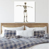 Medische illustratie van het volledige Vrouw skele Canvas Afdruk (Insitu (Slaapkamer))
