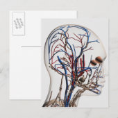Medische illustratie van hoofdletsels 1 briefkaart (Voorkant / Achterkant)