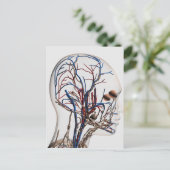 Medische illustratie van hoofdletsels 1 briefkaart (Staand voorkant)