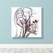 Medische illustratie van hoofdletsels 1 canvas afdruk (Insitu (Houten vloer))