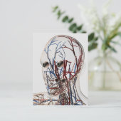 Medische illustratie van hoofdsteunen 2 briefkaart (Staand voorkant)