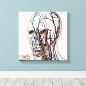 Medische illustratie van hoofdsteunen 2 canvas afdruk (Insitu (Houten vloer))