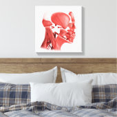 Medische illustratie van mannelijke gezichtsspiere canvas afdruk (Insitu (Slaapkamer))