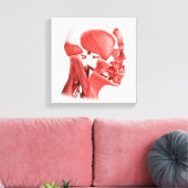 Medische illustratie van mannelijke gezichtsspiere canvas afdruk (Insitu (Woonkamer))