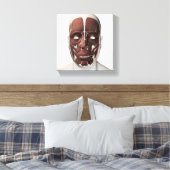 Medische illustratie van mannelijke gezichtsspiere canvas afdruk (Insitu (Slaapkamer))