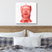 Medische illustratie van mannelijke gezichtsspiere canvas afdruk (Insitu (Slaapkamer))