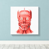 Medische illustratie van mannelijke gezichtsspiere canvas afdruk (Insitu (Houten vloer))