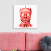 Medische illustratie van mannelijke gezichtsspiere canvas afdruk (Insitu (Woonkamer))