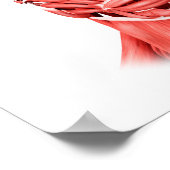 Medische illustratie van mannelijke gezichtsspiere poster (Hoek)