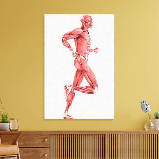 Medische illustratie van mannelijke spieren met dr canvas afdruk (Insitu (Woonkamer))