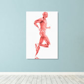 Medische illustratie van mannelijke spieren met dr canvas afdruk (Insitu (Houten vloer))