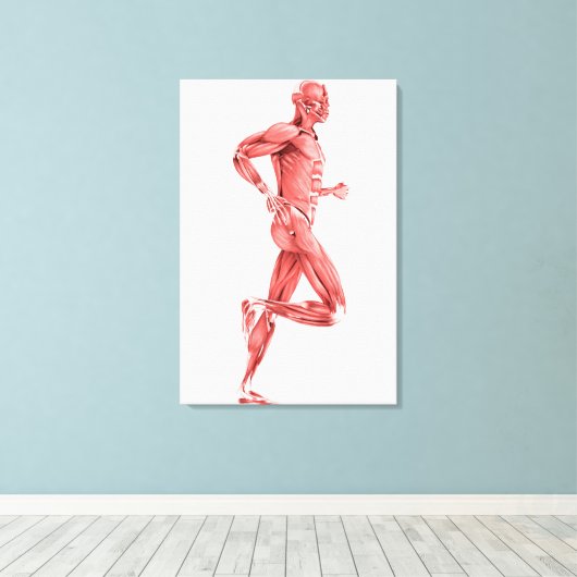 Medische illustratie van mannelijke spieren met dr canvas afdruk (Insitu (Houten vloer))