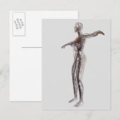 Medische illustratie van Vrouw-arteriën, vinnen Briefkaart (Voorkant / Achterkant)