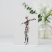 Medische illustratie van Vrouw-arteriën, vinnen Briefkaart (Staand voorkant)