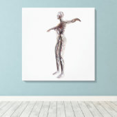 Medische illustratie van Vrouw-arteriën, vinnen Canvas Afdruk (Insitu (Houten vloer))