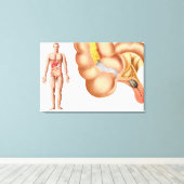 Medische isolatie van een aanhangsel canvas afdruk (Insitu (Houten vloer))