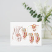 Medische isolatie van een proefcyclus briefkaart (Staand voorkant)