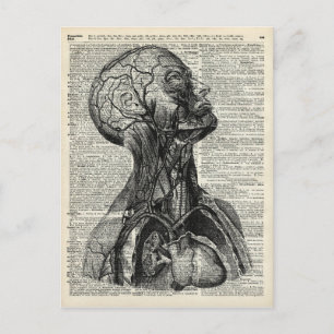 Medische menselijke anatomie briefkaart