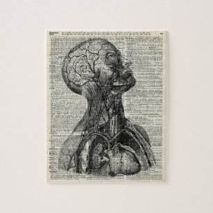 Medische menselijke anatomie legpuzzel