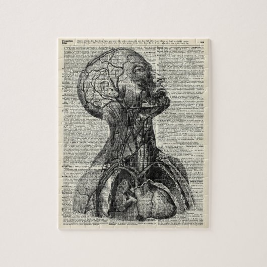 Medische menselijke anatomie legpuzzel (Verticaal)