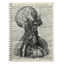 Medische menselijke anatomie