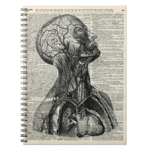 Medische menselijke anatomie notitieboek