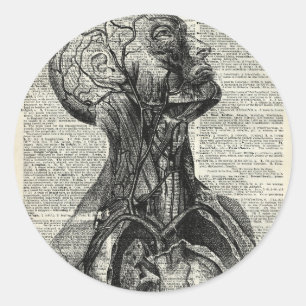 Medische menselijke anatomie ronde sticker