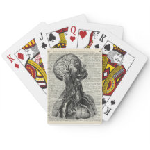 Medische menselijke anatomie